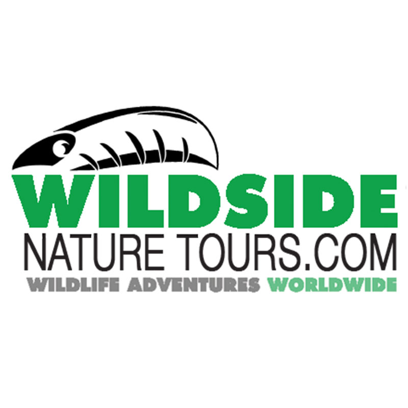 Wildside-Nature-Tours-Space-Coast-Birding-and-Wildlife-Fest-Sponsor-2024-800px